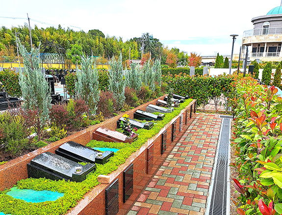 樹木葬　イリス