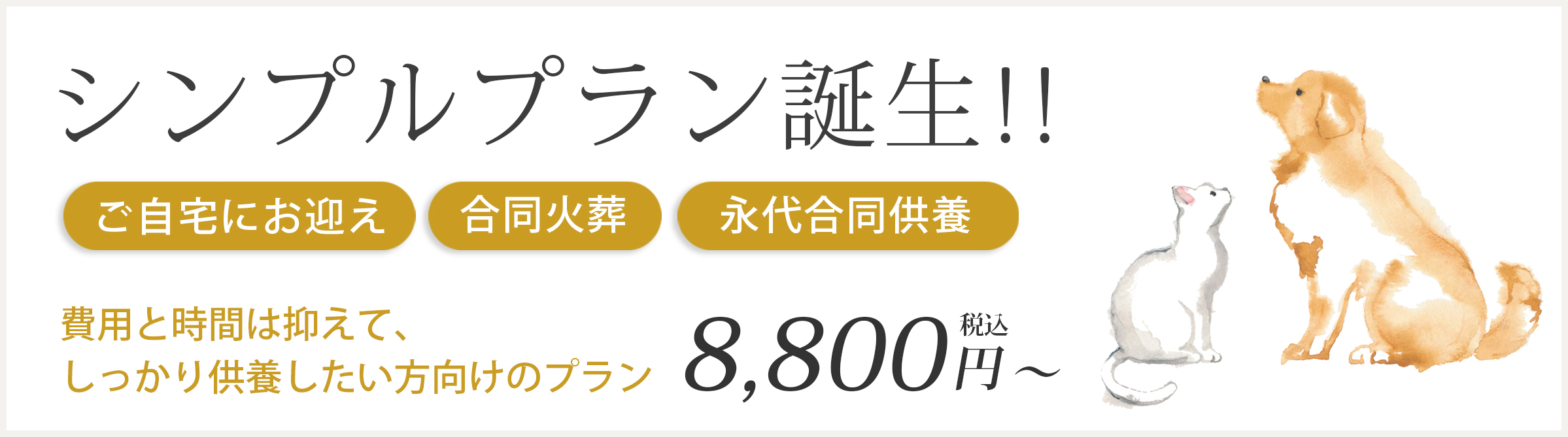 シンプルプラン 8,800円